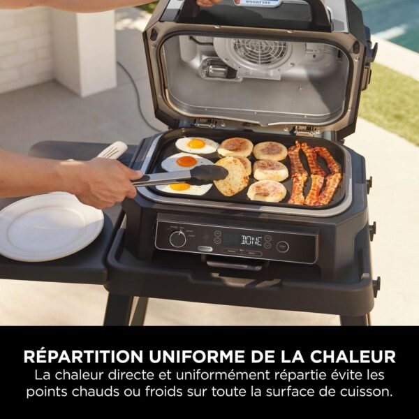 Ninja Woodfire Barbecue électrique et fumoir Pro XL avec thermomètre, barbecue et Air fryer d'extérieur 4-en-1 avec système Smart Cook et granulés Woodfire, portatif, gris/noir, OG850EU