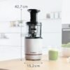 Bosch VitaExtract  Extracteur de jus avec 2 filtres pour des jus et smoothies délicieux de fruits et légumes – 150 W  MESM500W