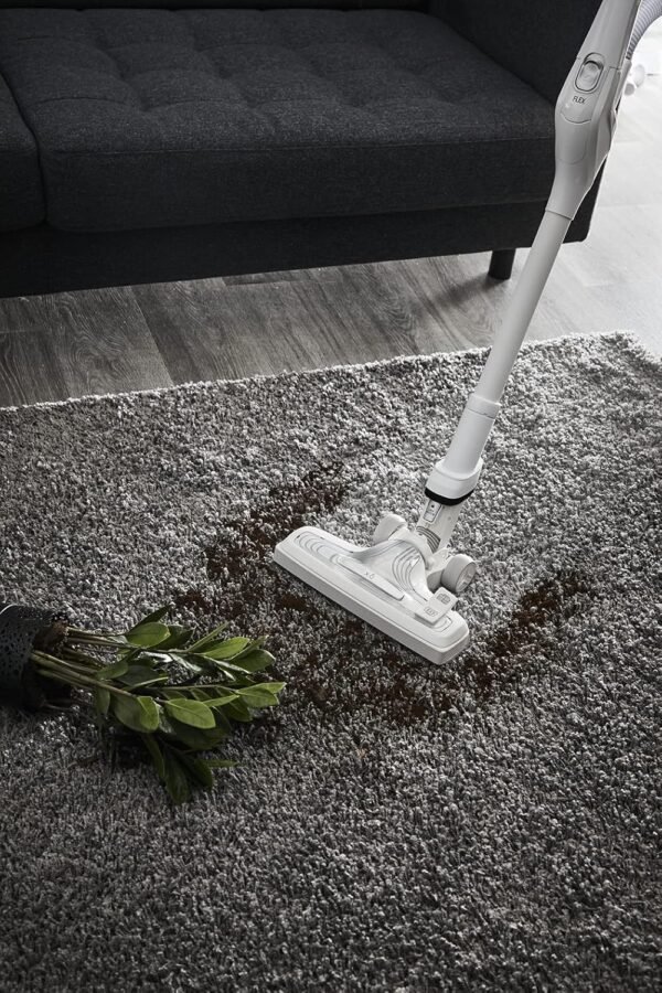 Rowenta Aspirateur sans fil, Silencieux, Léger, 230 AW, 2 batteries amovibles, Flex, X-Ô 160, Blanc IX7777EA
