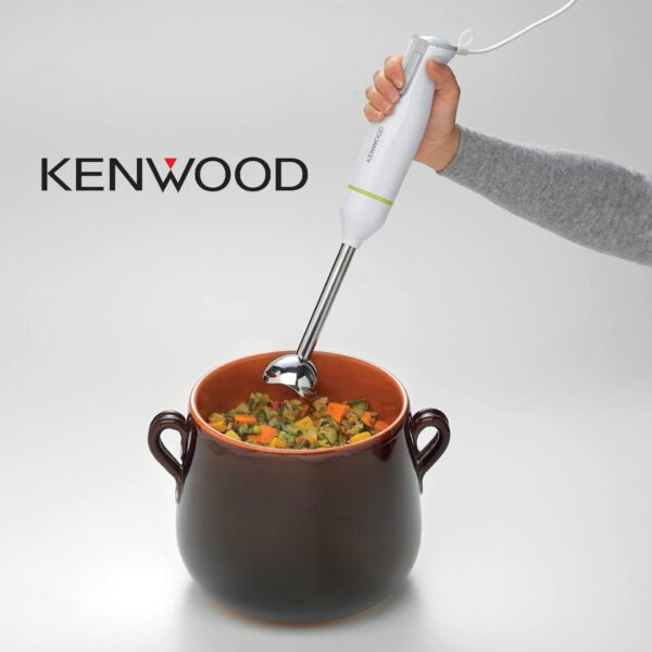 KENWOOD Mixeur Plongeant HBM02 600W