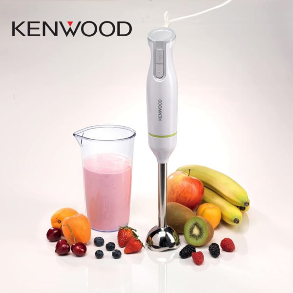 KENWOOD Mixeur Plongeant HBM02 600W