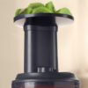Kenwood Extracteur de jus PureJuice Slow JMP601SI