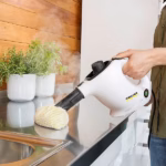 NETTOYEUR VAPEUR ET DÉTACHEUR